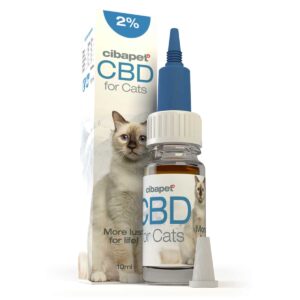 Eine Flasche Cibapet 2% CBD-Öl für Katzen (10 ml) für Katzen.