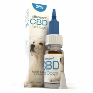 Eine Flasche CBD für Hunde neben einer Kiste.