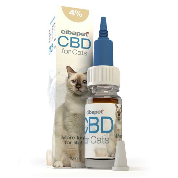 Eine Flasche Cibapet 4% CBD-Öl für Katzen (10 ml) für Katzen neben einer Box.